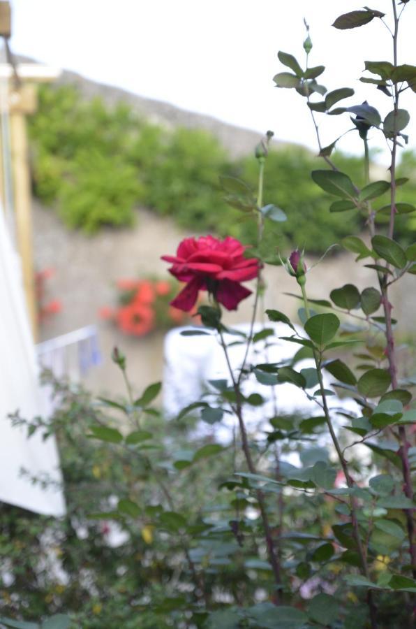 Le Clos Des Pommes Bioncourt ภายนอก รูปภาพ